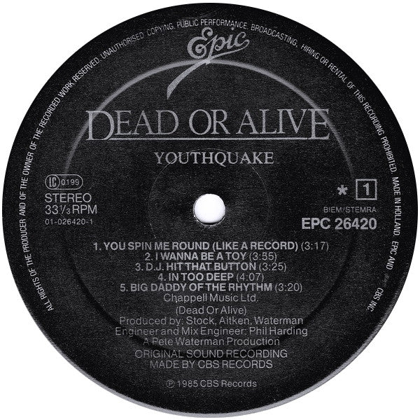 Dead Or Alive : Youthquake (LP, Album)