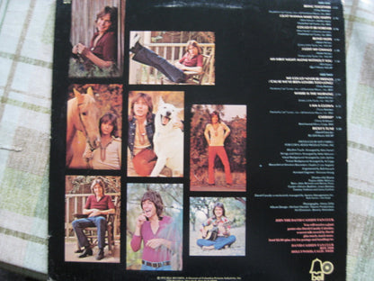 David Cassidy : Cherish (LP, Album)