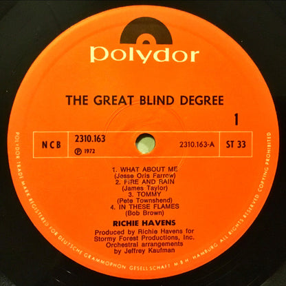 Richie Havens : The Great Blind Degree (LP, Album)