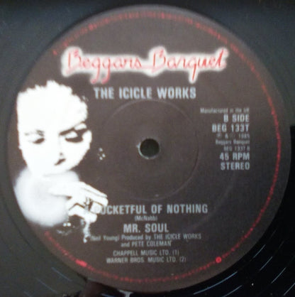 The Icicle Works : All The Daughters (Of Her Father's House) (12", Single)