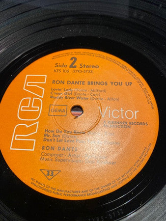 Ron Dante : Brings You Up (LP, Album)