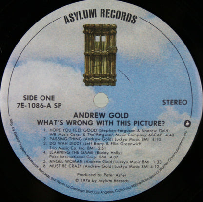 Andrew Gold : What's Wrong With This Picture? (LP, Album, SP )