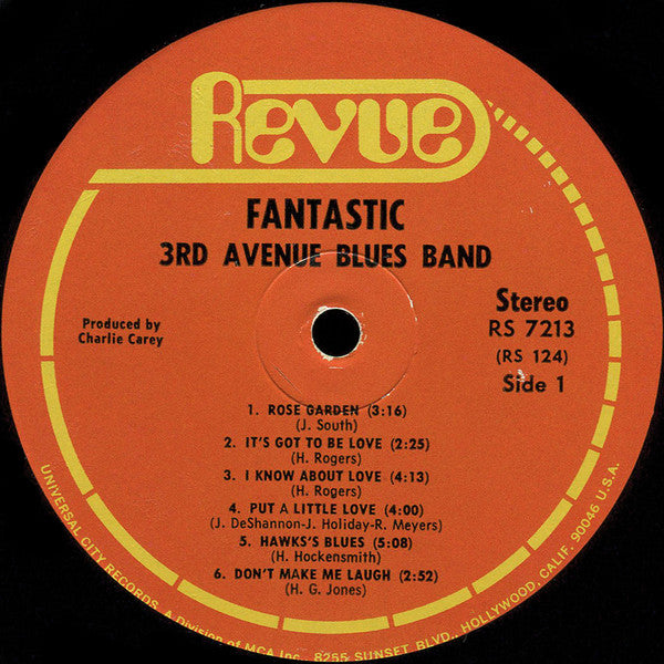 Third Avenue Blues Band : Fantastic (LP, Album)