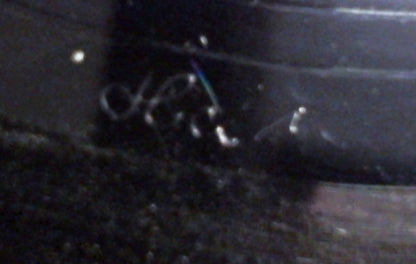 Edmundo Falé : Let's Spend The Night Together (7", Single)