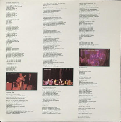 Steel Pulse : Handsworth Revolution (LP, Album, Gat)