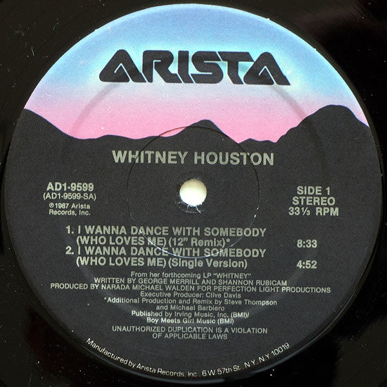 Whitney Houston : I Wanna Dance With Somebody (Who Loves Me) (12", Single)