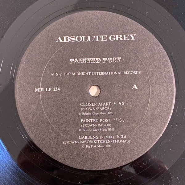 Absolute Grey : Painted Post (12", EP)