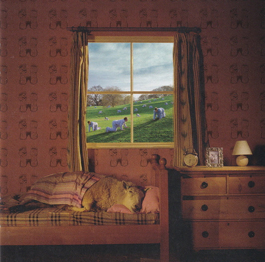 Umphrey's Mcgee : Safety In Numbers (CD, Album)