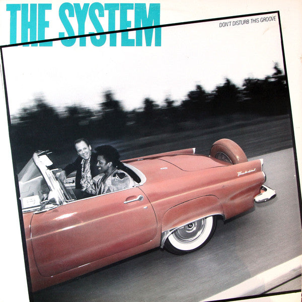 The System : Don't Disturb This Groove (LP, Album)