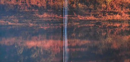 Post Malone : Hollywood's Bleeding (2xLP, Album, RE, Emb)