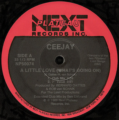 Ceejay : A Little Love (What's Going On) (12")