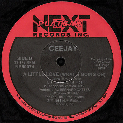 Ceejay : A Little Love (What's Going On) (12")