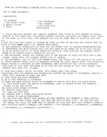 Rotate The Completor : Rotate The Completors: Completed Rotations Of The... (LP, Album)