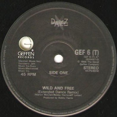 Dazz Band : Wild And Free (12")