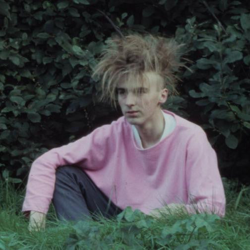 Cassis Cornuta : 25 Jaar De Gebraden Zwaan Zingt (LP, Ltd)