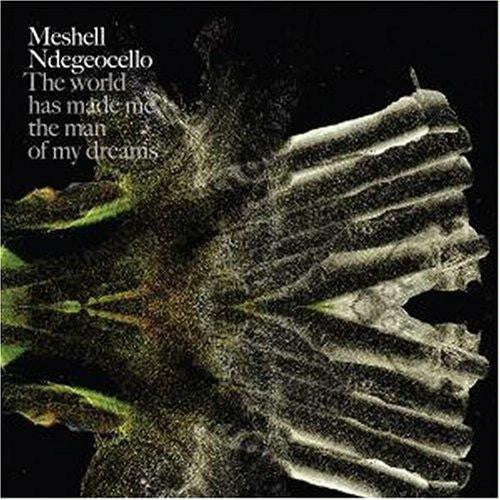 Me'Shell NdegéOcello : The World Has Made Me The Man Of My Dreams (CD, Album)