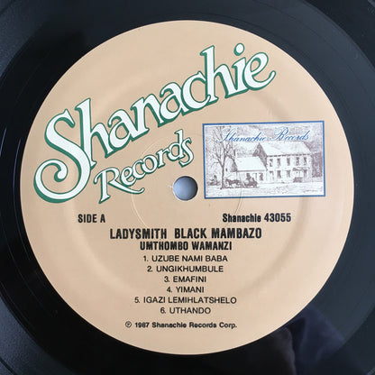 Ladysmith Black Mambazo : Umthombo Wamanzi (LP, Album)