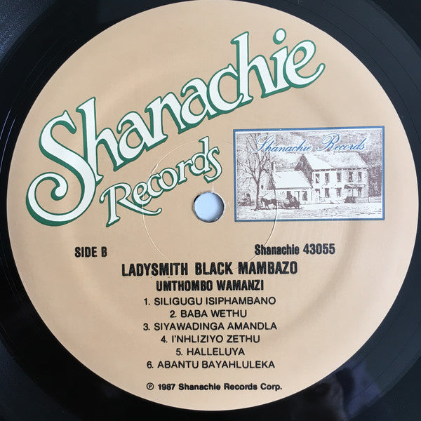 Ladysmith Black Mambazo : Umthombo Wamanzi (LP, Album)