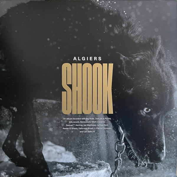 Algiers (2) : Shook (2xLP, Album, Ltd, Gol)