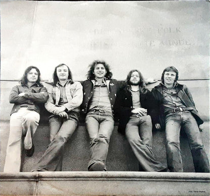 Flying Norwegians : Wounded Bird (LP, Album)