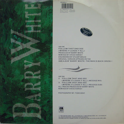 Barry White : Follow That And See (Where It Leads Y'All) (12")