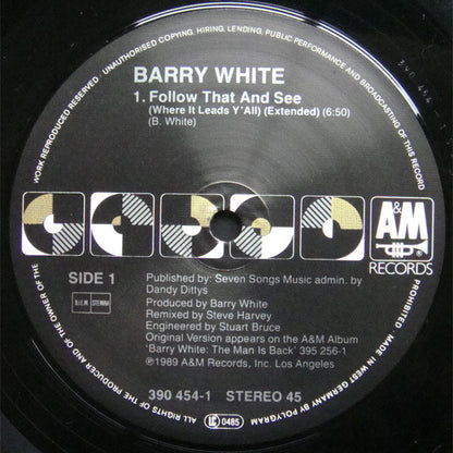 Barry White : Follow That And See (Where It Leads Y'All) (12")