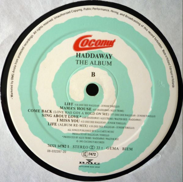 Haddaway : The Album (LP, Album)