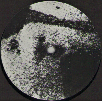 Shiggajon : Asconema (LP, Ltd)