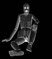 Sidsel Meineche Hansen, Asger Hartvig, Holger Hartvig, Anders Hjortdal Andersen, Adam Christensen, Jack Brennan, Tom Hirst, Viki Steiri : Sex Robot (LP)