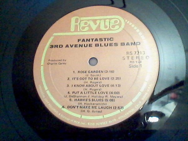 Third Avenue Blues Band : Fantastic (LP, Album)