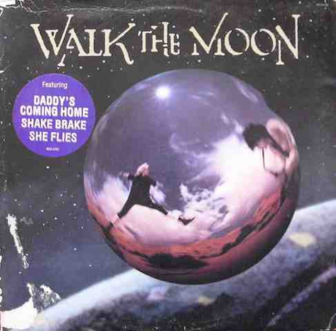 Walk The Moon : Walk The Moon (LP, Album)