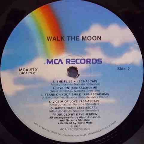 Walk The Moon : Walk The Moon (LP, Album)