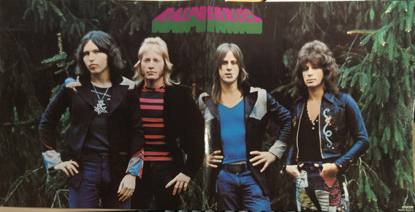 Raspberries : Starting Over (LP, Album, Win)