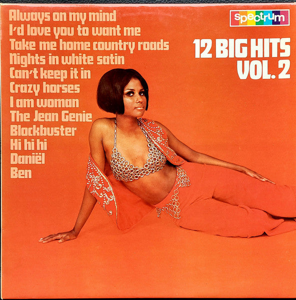 Unknown Artist : 12 Big Hits Vol. 2 (LP)