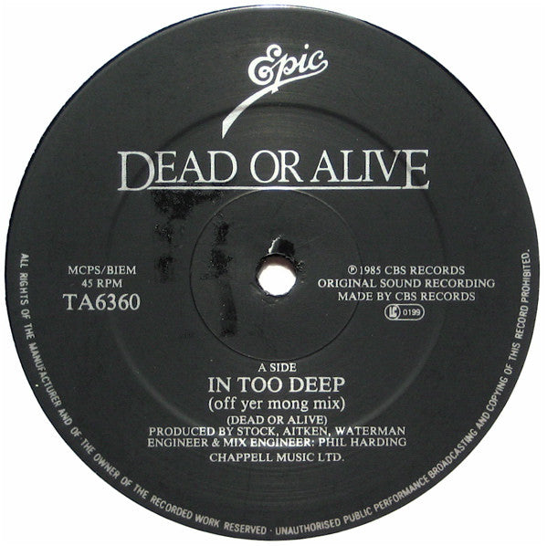 Dead Or Alive : In Too Deep (Off Yer Mong Mix) (12", Single)