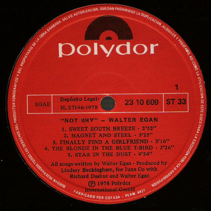 Walter Egan : Not Shy (LP, Album)
