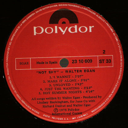 Walter Egan : Not Shy (LP, Album)