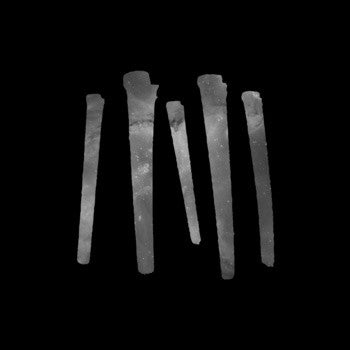 Anatomy Of Habit : Anatomy Of Habit (LP, Album)