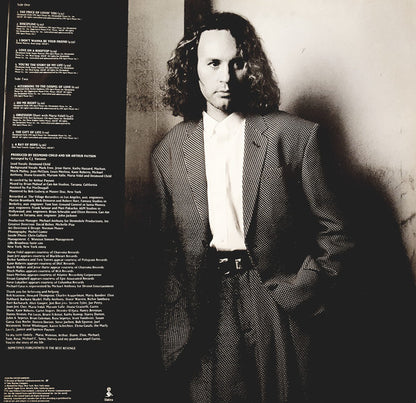 Desmond Child : Discipline (LP, Album)