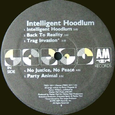 Intelligent Hoodlum : Intelligent Hoodlum (LP, Album)