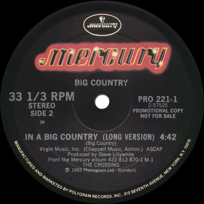 Big Country : In A Big Country (12", Single, Promo)