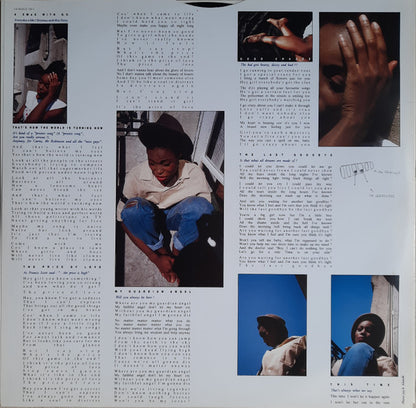 Jay Alanski : The Price Of Love (2xLP, Album)