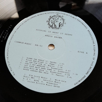 Arnie Brown : Nothing Is What It Seem (LP, Album)