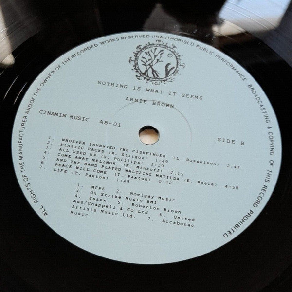 Arnie Brown : Nothing Is What It Seem (LP, Album)
