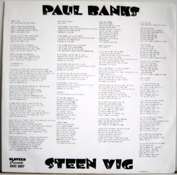 Paul Banks & Steen Vig : Paul Banks & Steen Vig (LP, Album)