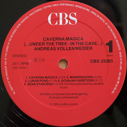 Andreas Vollenweider : Caverna Magica (...Under The Tree - In The Cave...) (LP, Album, RP, Hal)