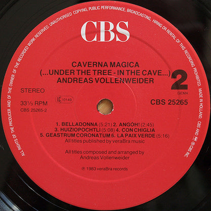 Andreas Vollenweider : Caverna Magica (...Under The Tree - In The Cave...) (LP, Album, RP, Hal)