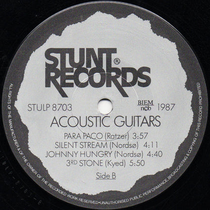 Acoustic Guitars : Acoustic Guitars (LP, Album)