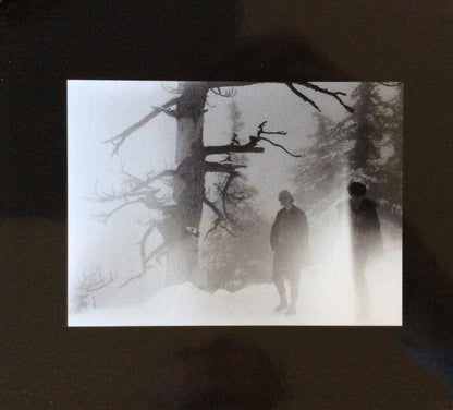 The Raveonettes : Raven In The Grave (CD, Album, EDC)