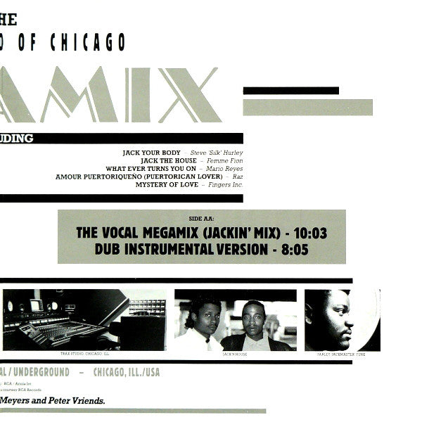 Various : The House Sound Of Chicago Megamix (The Dance-House-Power-Remix) (12", Mixed)